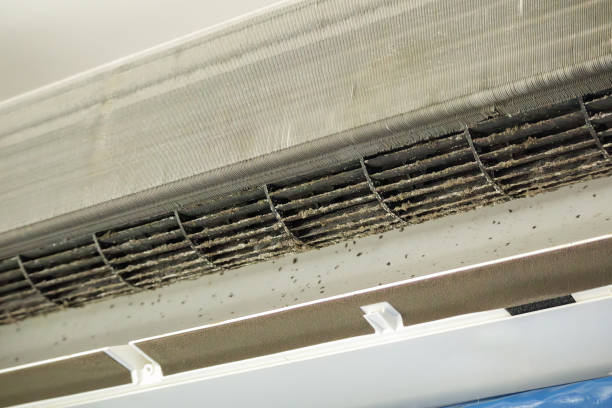 Best Affordable Air Duct Cleaning  in Fort Defiance, AZ
